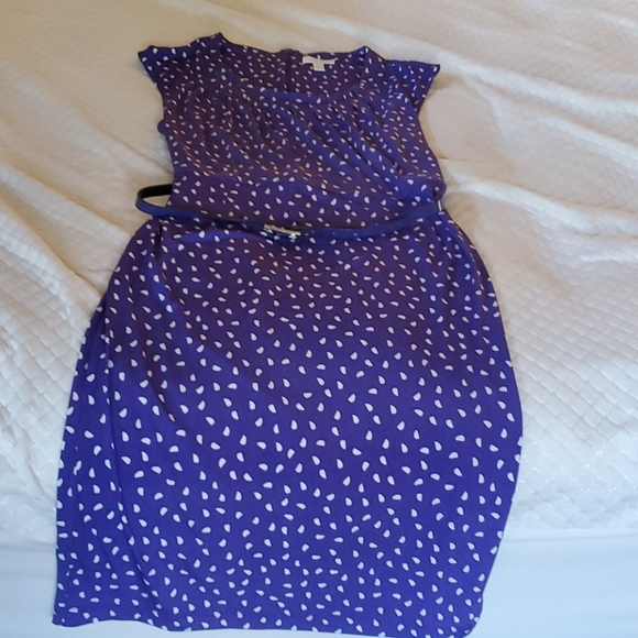 Charter Club Dresses & Skirts - Fun Purple work dress